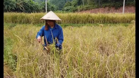 Hotspot Matrix và Phép thử với