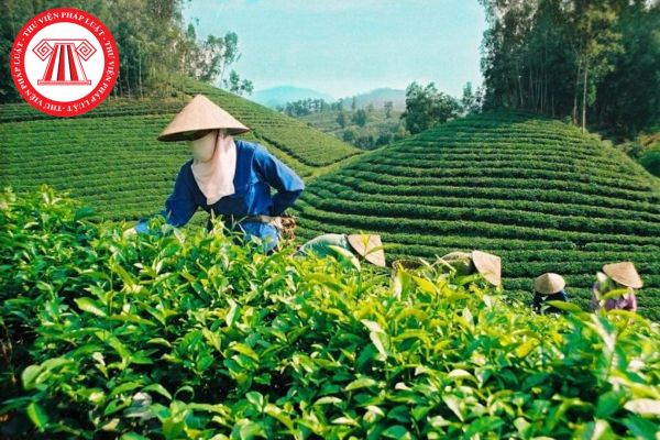 Video ngắn – Giải pháp truyền thông thông minh cho doanh nghiệp nhỏ_Khóa học digital marketing trực tuyến